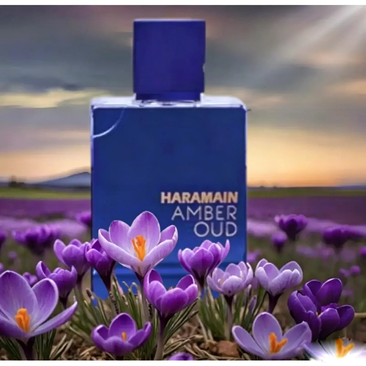 AL HARAMAIN Amber Oud Deep Purple – Luxury Saffron & Sandalwood Night Fragrance